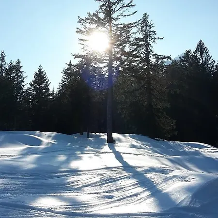 Apartment Allegra Wohlfühl *