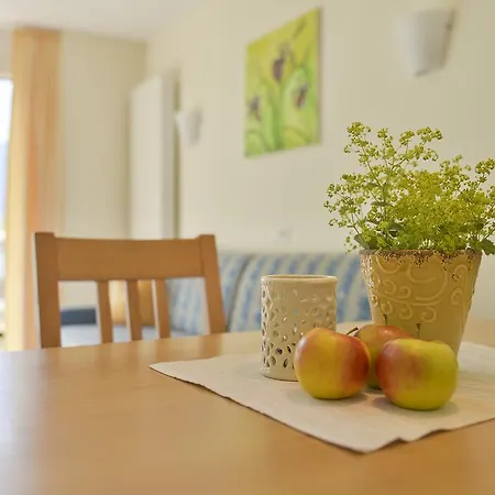 Apartment Allegra Wohlfuhl Brand (Vorarlberg)